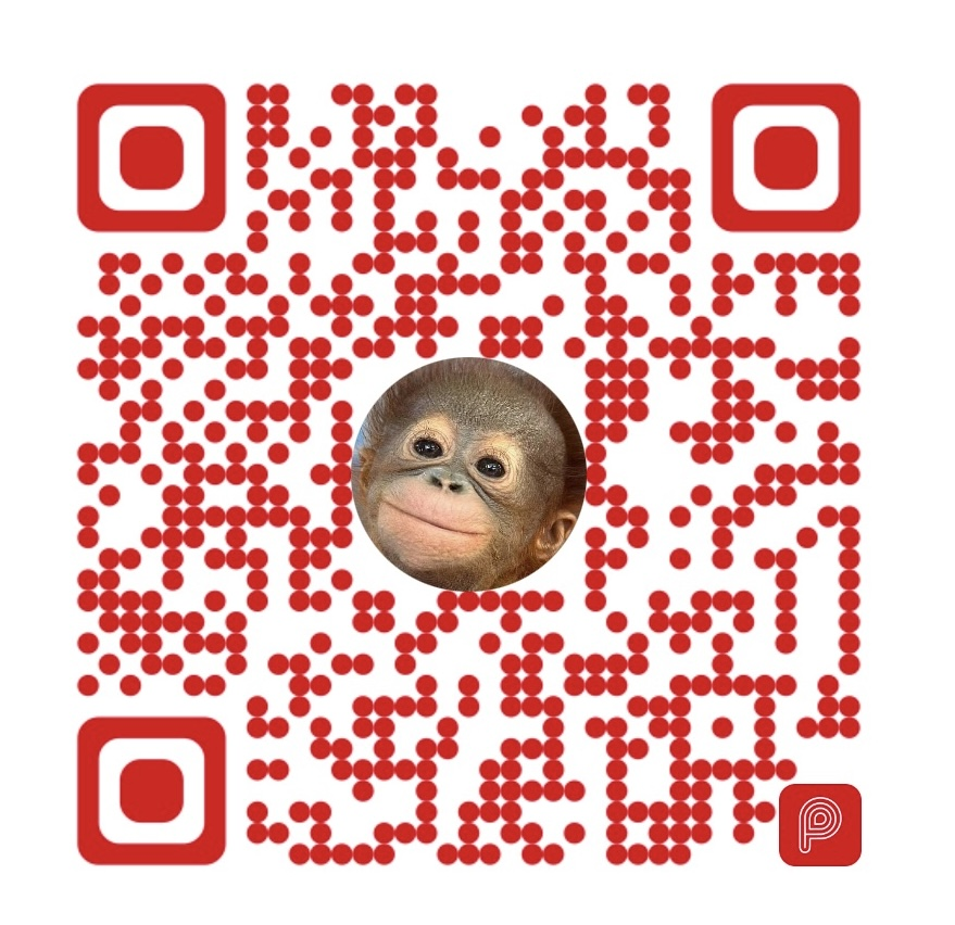 PayMe QR